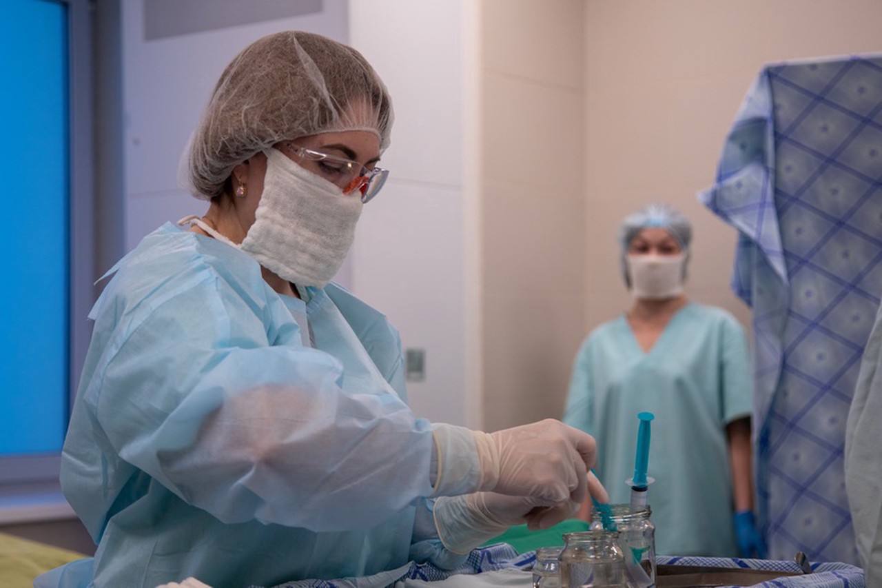 Профессор объяснил, что могло пойти не так в ходе обрезания, из-за которого 7-летний мальчик лишился части органа