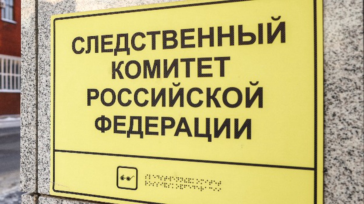 Следствие требует заочного ареста Александра Невзорова*