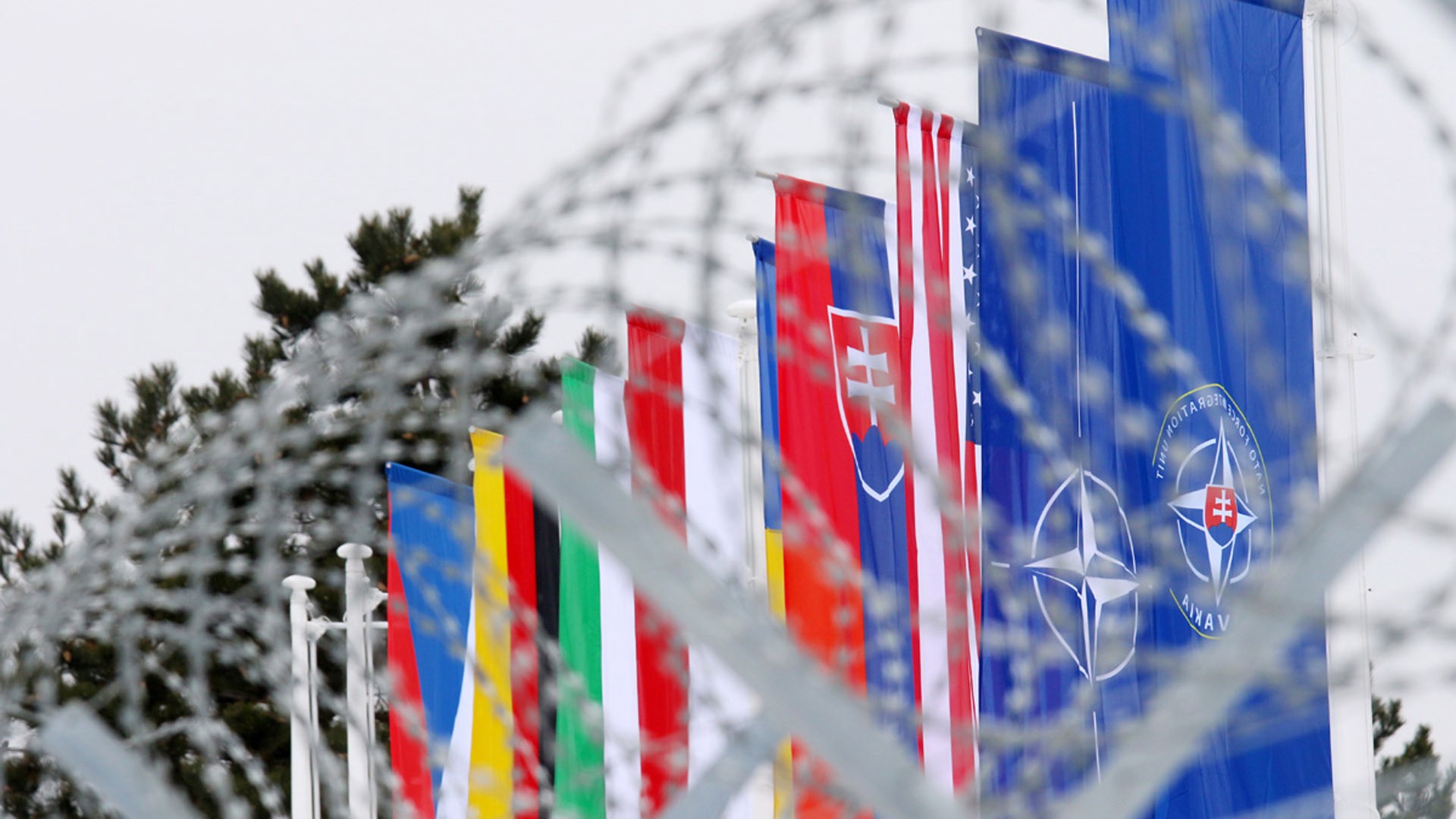 Экс-советник Рейгана: западные страны не должны принимать Украину в НАТО