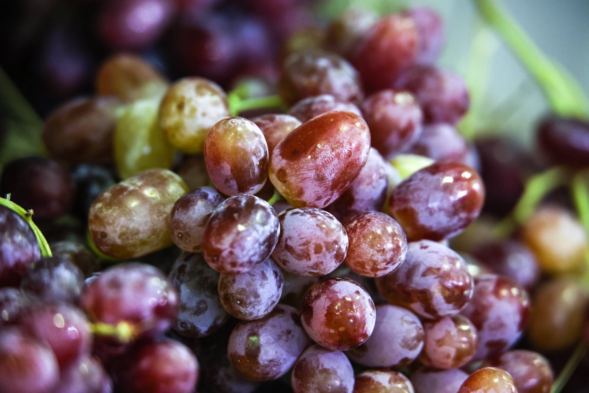 Гастроэнтеролог назвала виноград самой вредной из употребляемых ягод