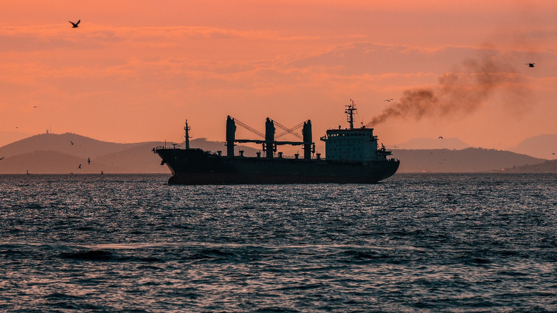 Maersk планирует возобновить перевозки в Красном море