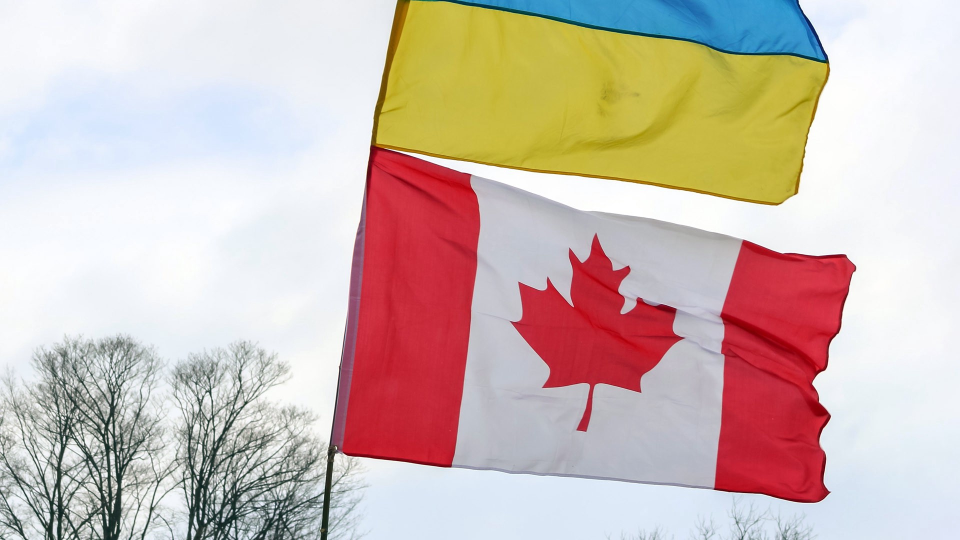 Global News: Украинская община в Канаде снесла памятник дивизии СС «Галичина»*
