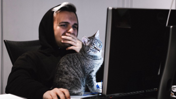 <p class="MsoNormal" style="line-height: 115%;"><span style="font-size: 14.0pt; line-height: 115%; font-family: 'Times New Roman',serif;">Какой вид идентификации и</span> <span style="font-size: 14.0pt; line-height: 115%; font-family: 'Times New Roman',serif;">аутентификации является наиболее распространённым среди пользователей?</span></p>