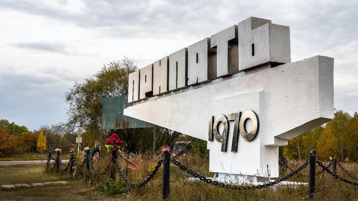 Daily Mail: В Чернобыле заметили необычных синих собак