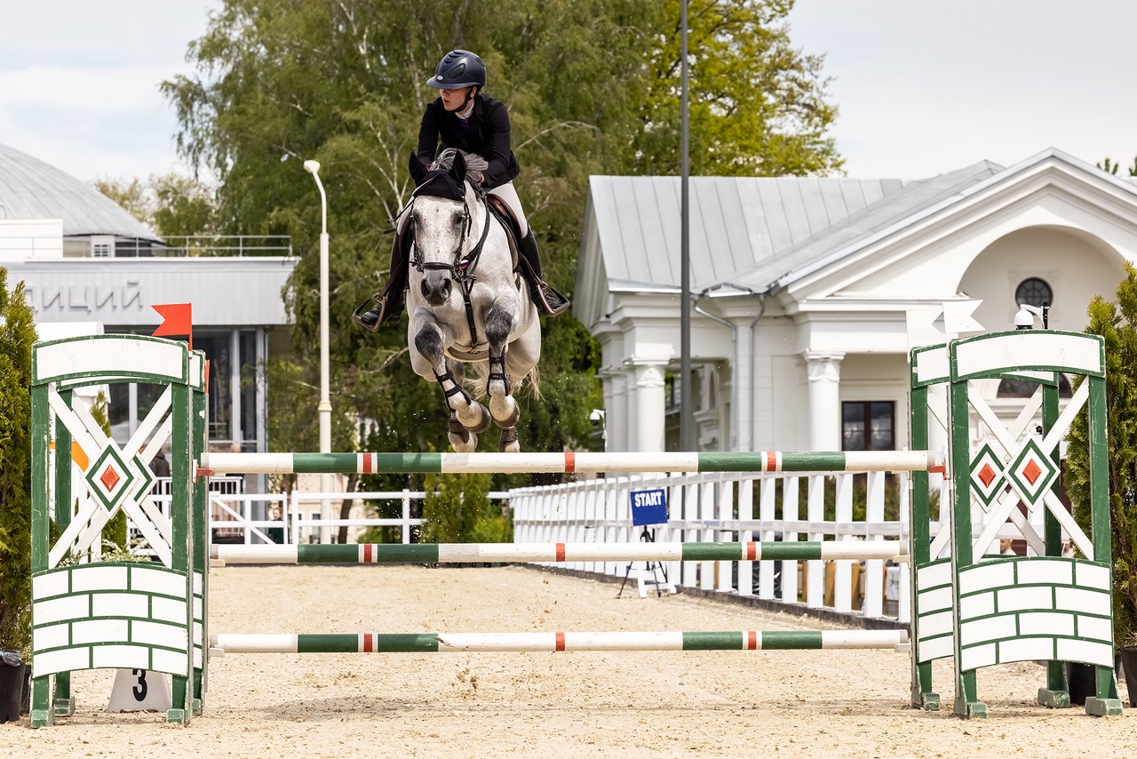 Национальный конный спорт. Найди Чемпионат мира по конкуру среди лошадей а не людей.
