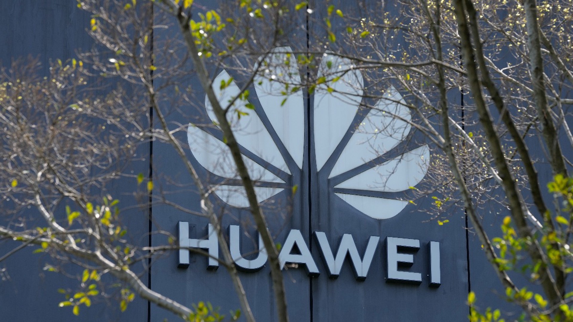 В Китае выразили протест Канаде из-за запрета Huawei и ZTE