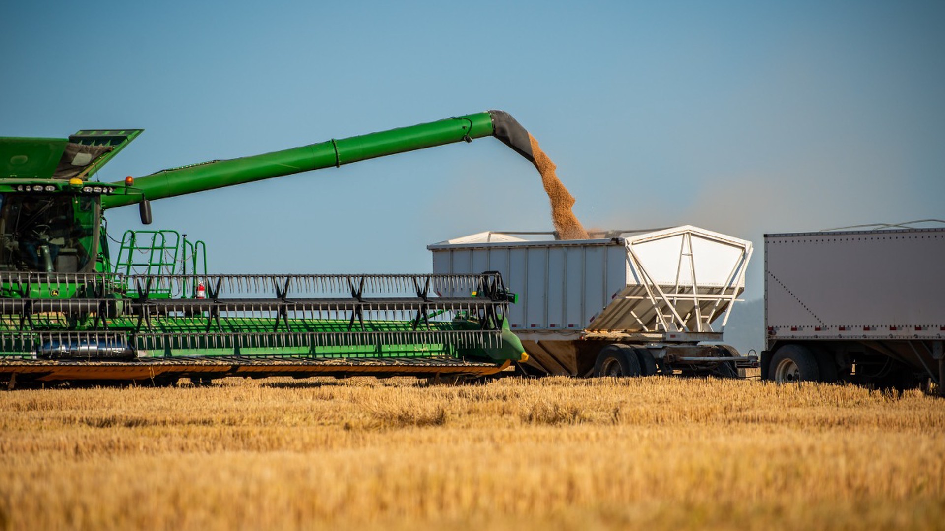 Минсельхоз предупредил о снижении экспорта зерна из России