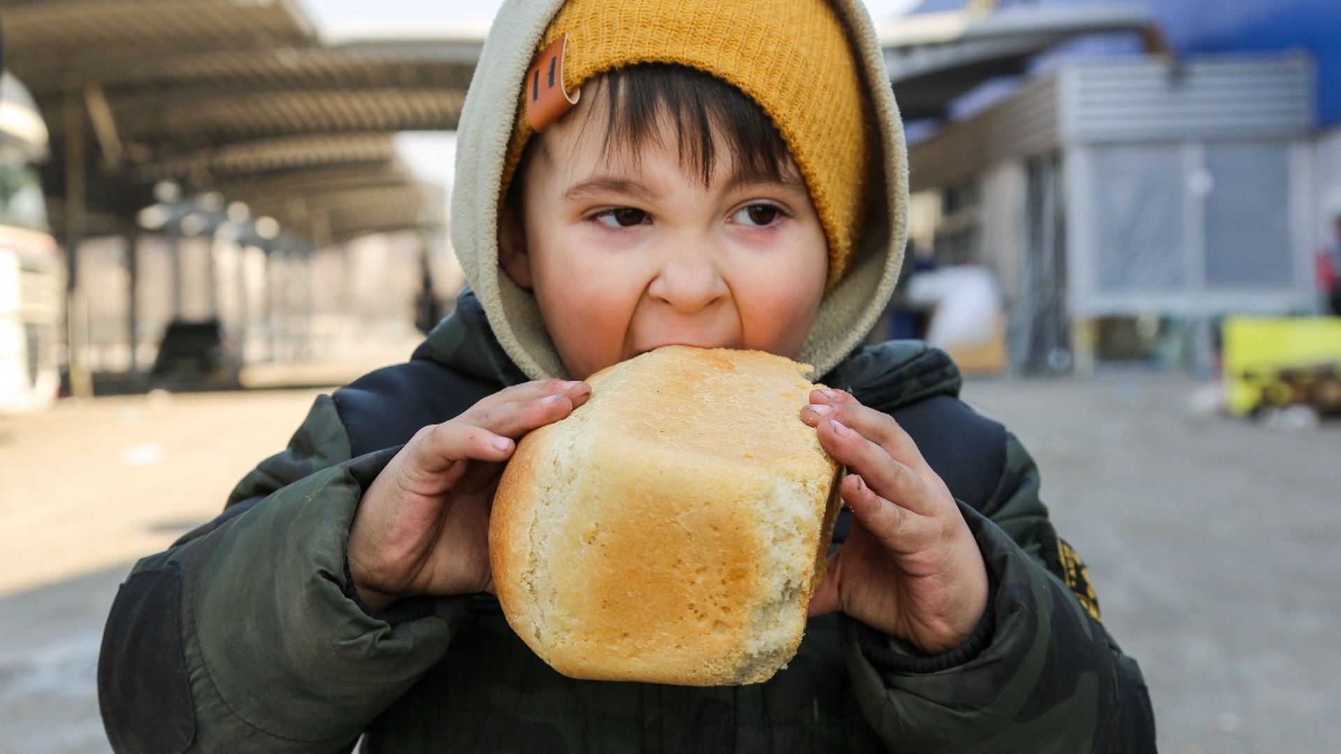 Корка хлеба без соли: миру грозит глобальный голод?
