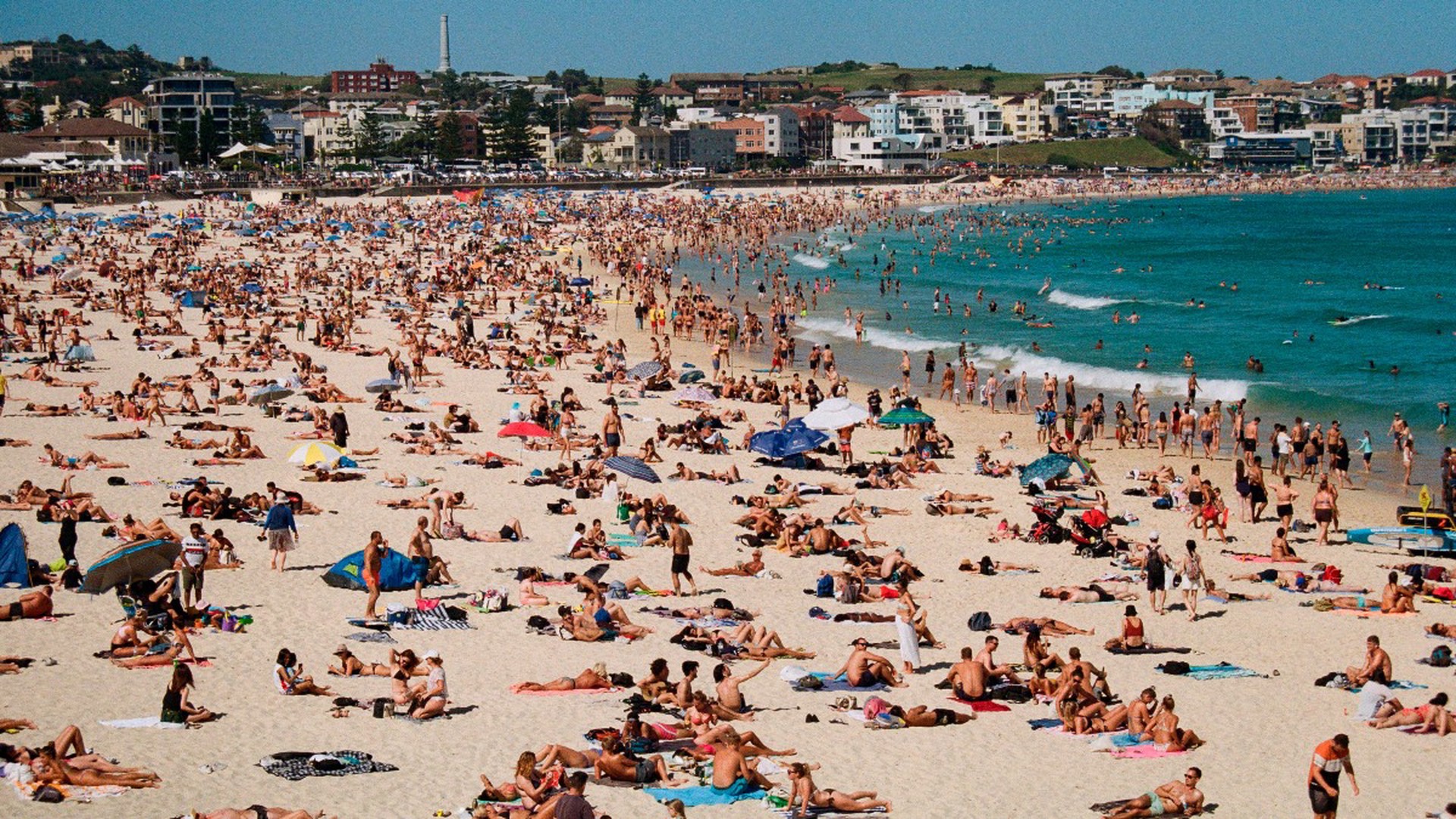 Myśl Polska: поляки ведут пляжно-барные войны против россиян на курортах Турции