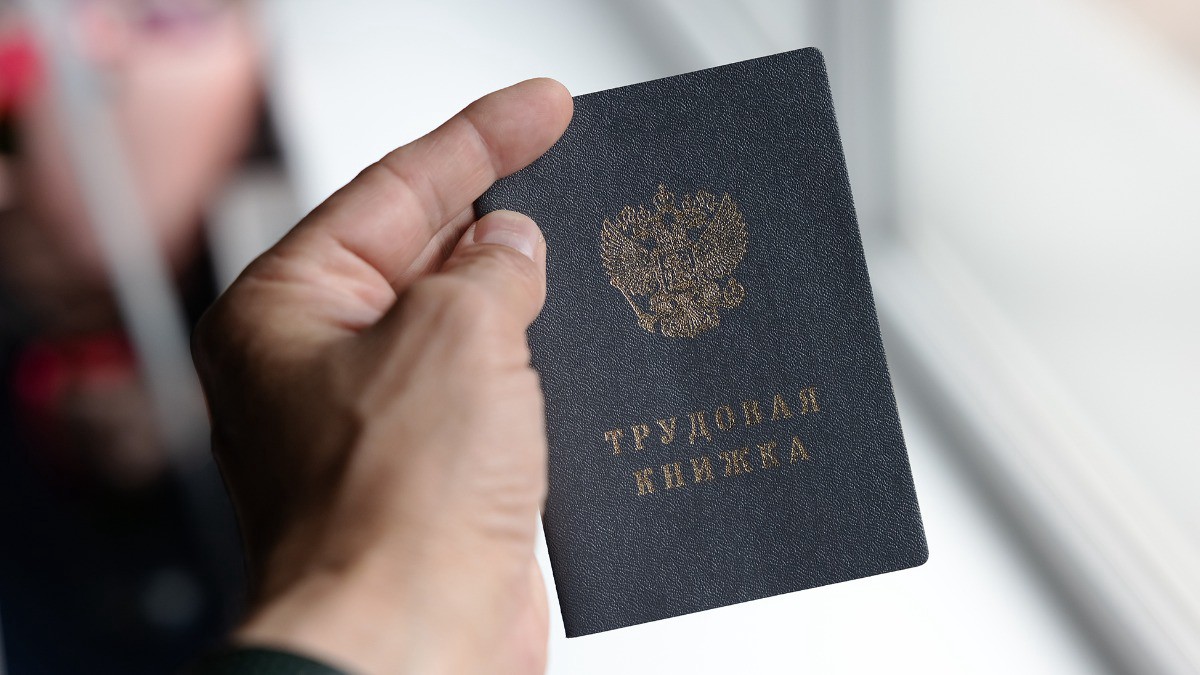 Юрист рассказала, что самозанятые могут получить такие же права, как работающие по трудовой