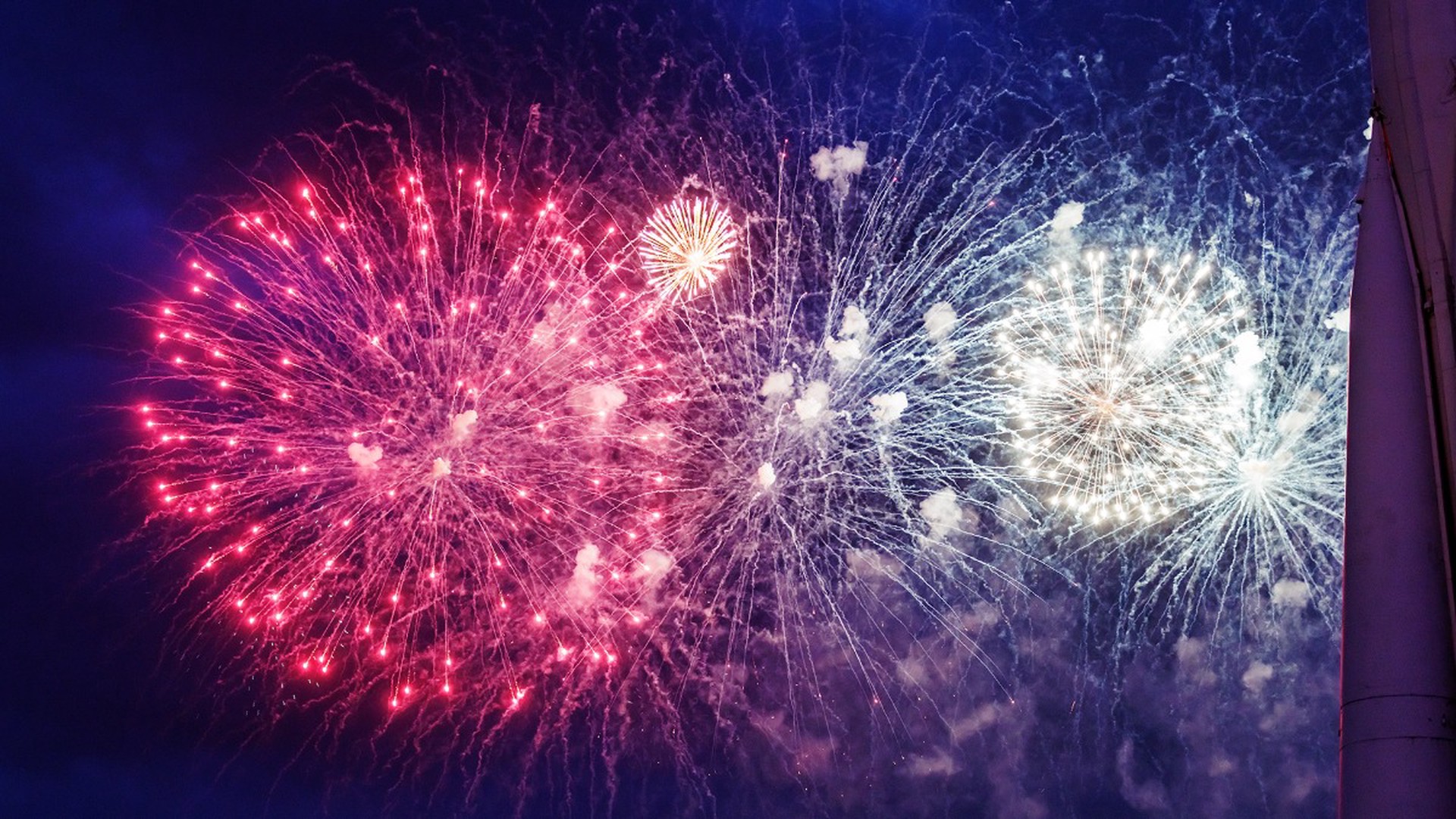 Ветеринар рассказал, как помочь боящемуся салютов питомцу