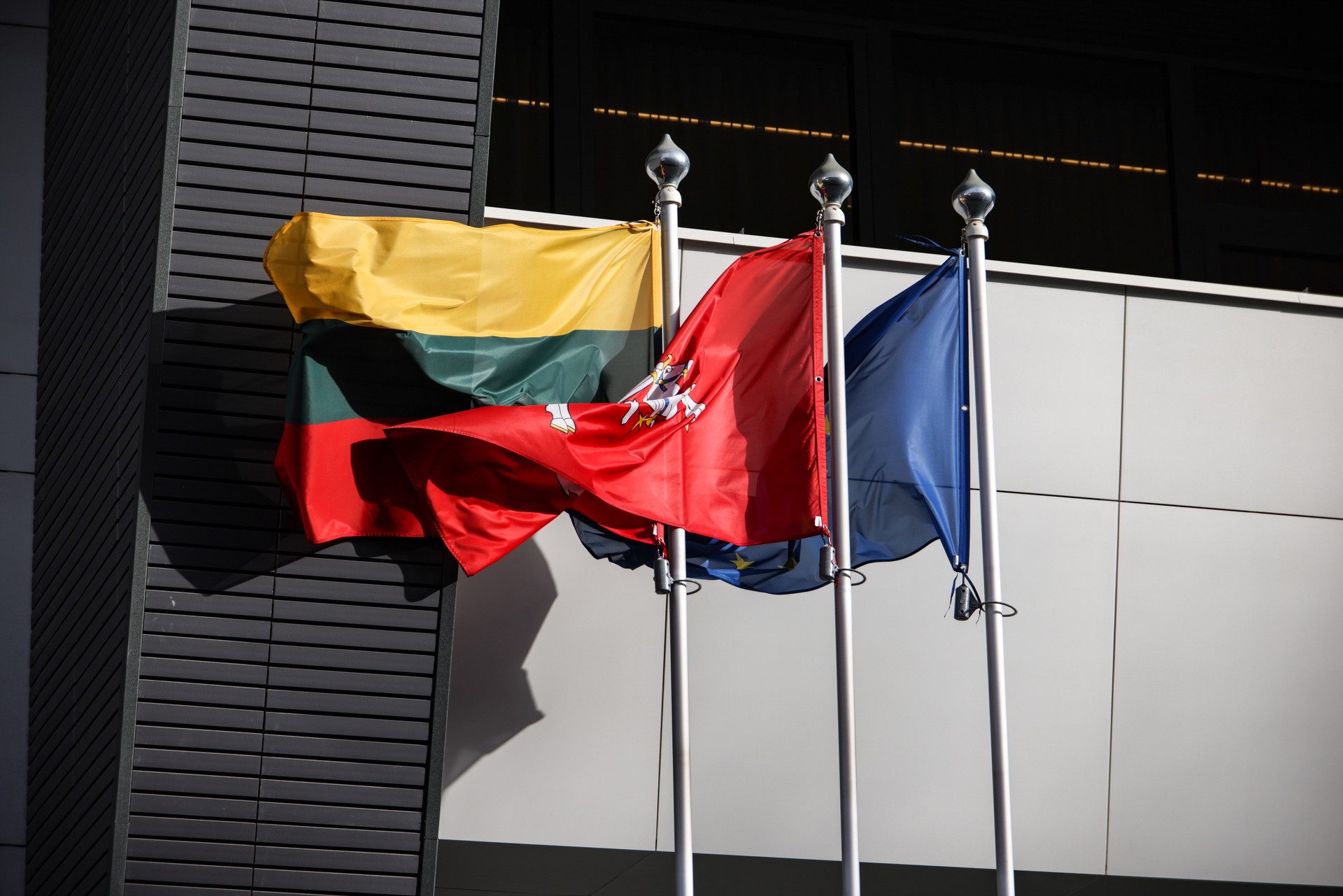 Литва согласилась с решением Еврокомиссии по калининградскому транзиту