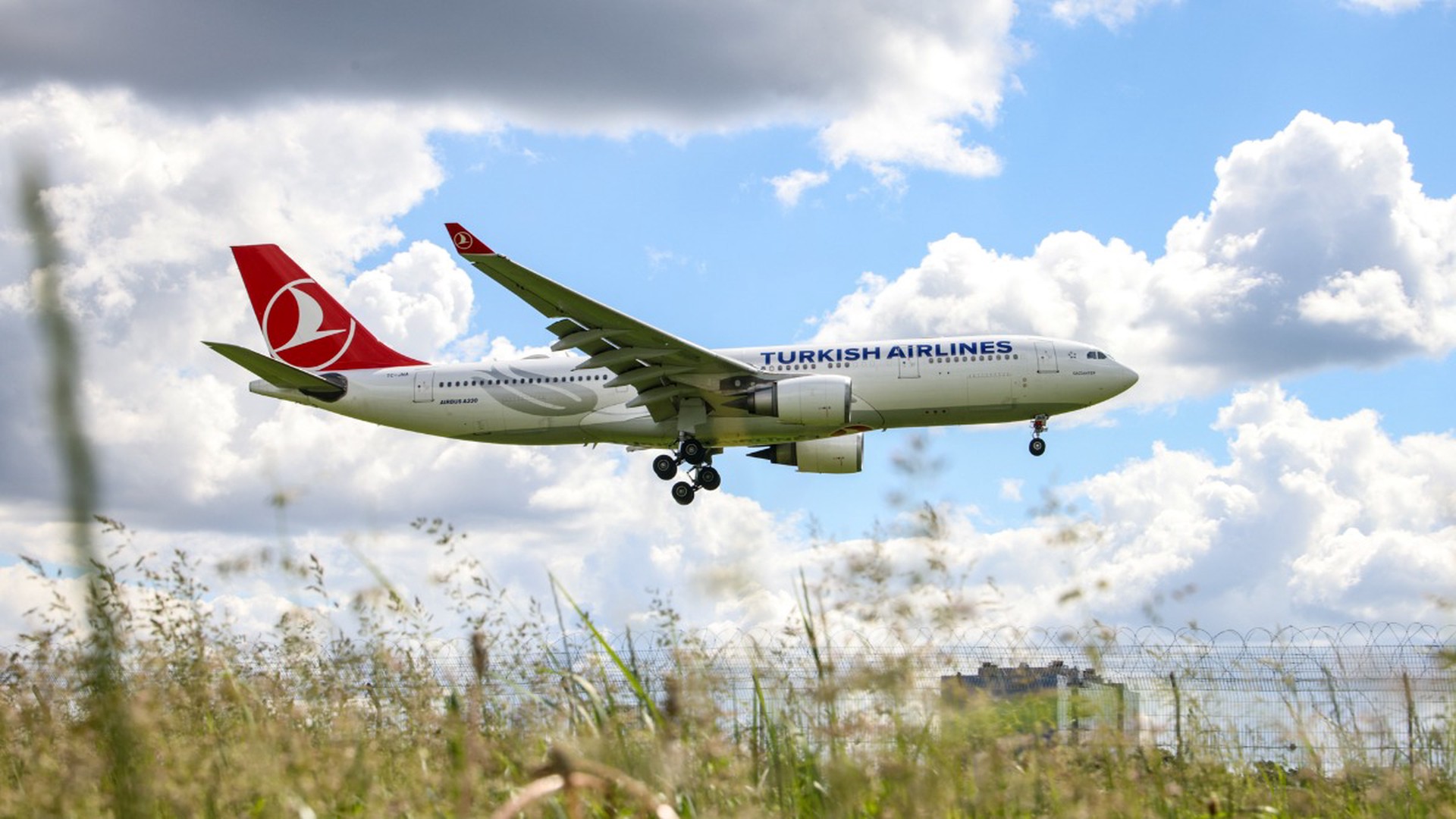 Посольство России в Турции посоветовало не летать с Turkish Airlines