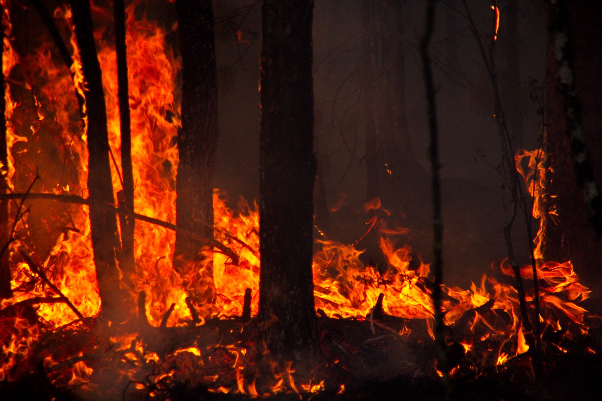 В Свердловской области ликвидировали ещё 14 природных пожаров