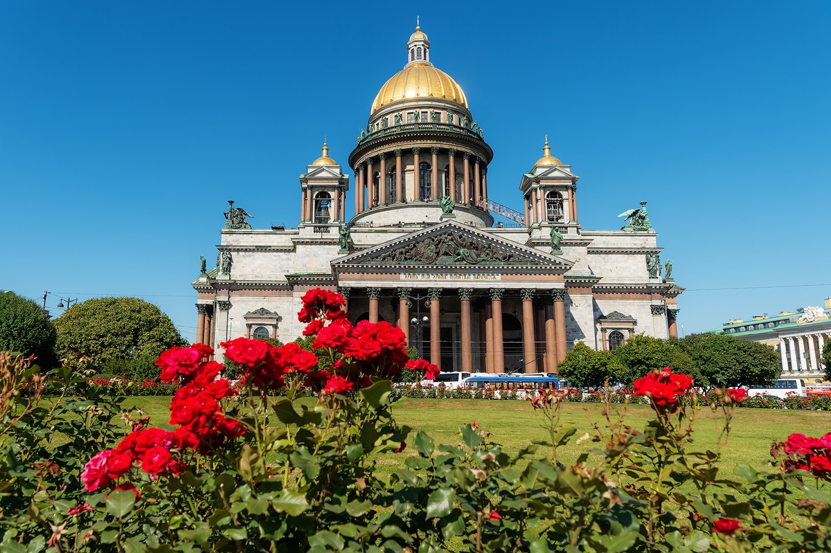 Строительство нового зоопарка в Петербурге обойдется в 40 млрд рублей