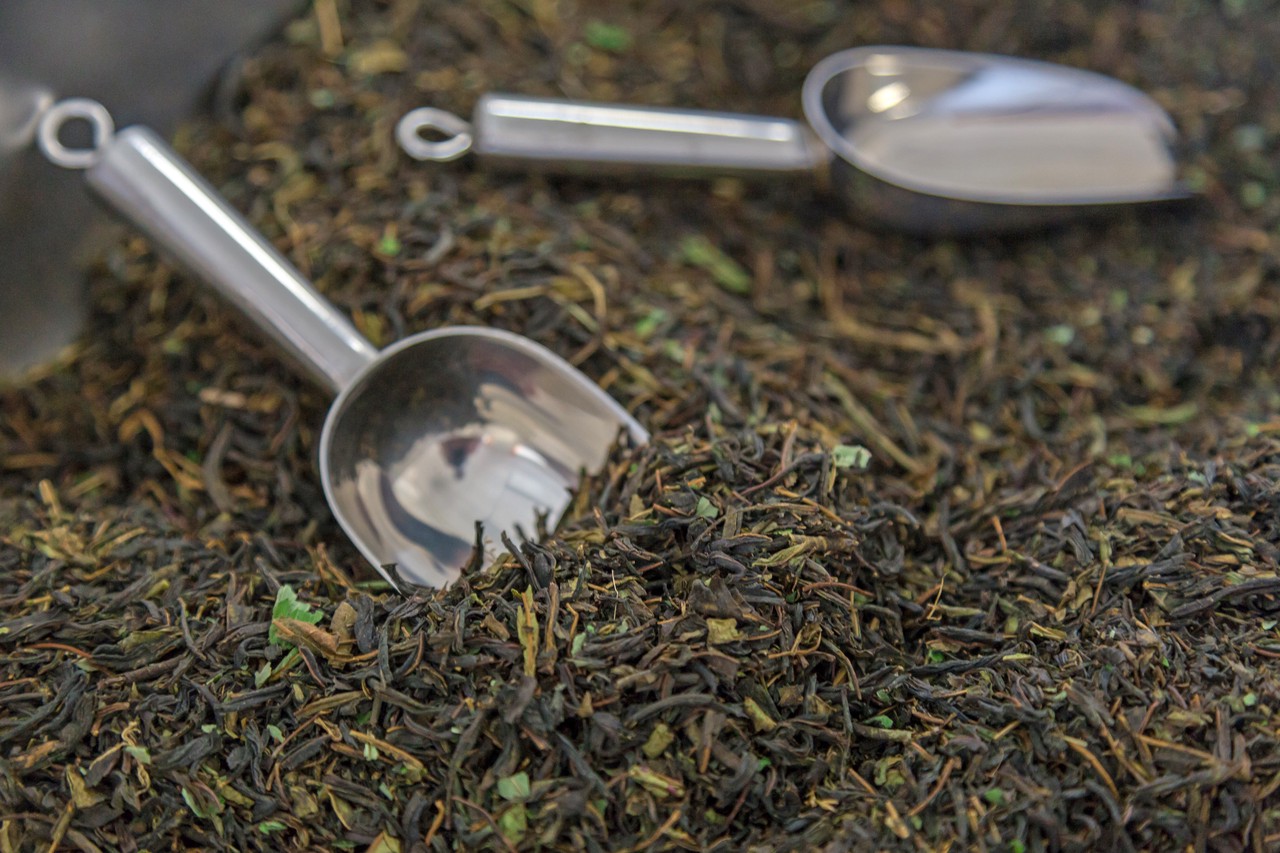 Врач рассказала о пользе иван-чая, производство которого обещал нарастить Путин