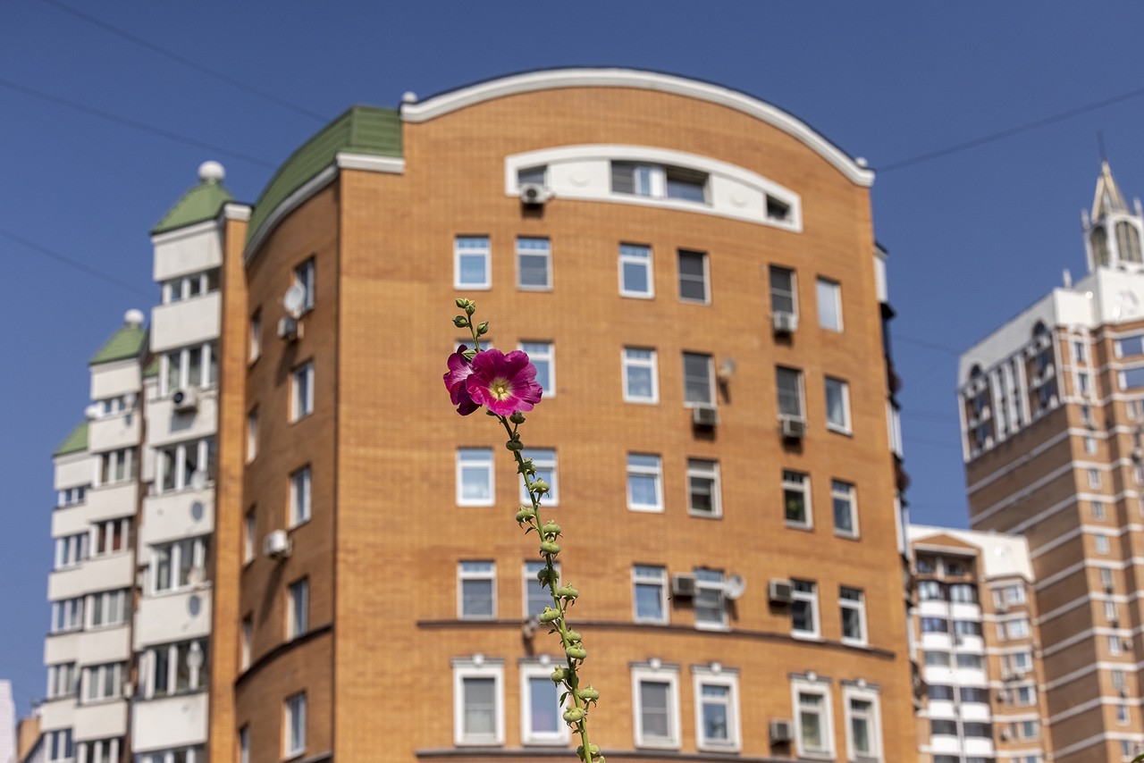 Цены на новостройки снизились на 30%: пора покупать?