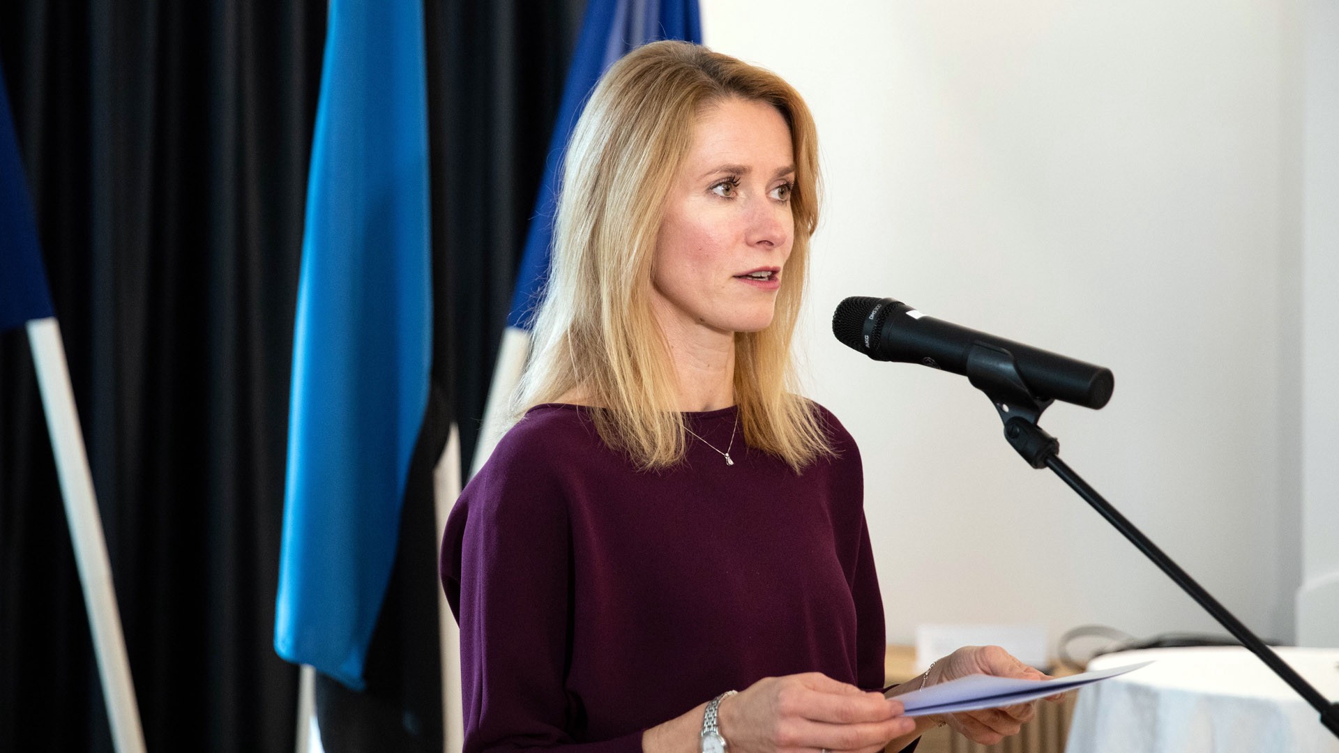 Премьер Эстонии отреагировала на сообщения о стремлении стать генсеком НАТО