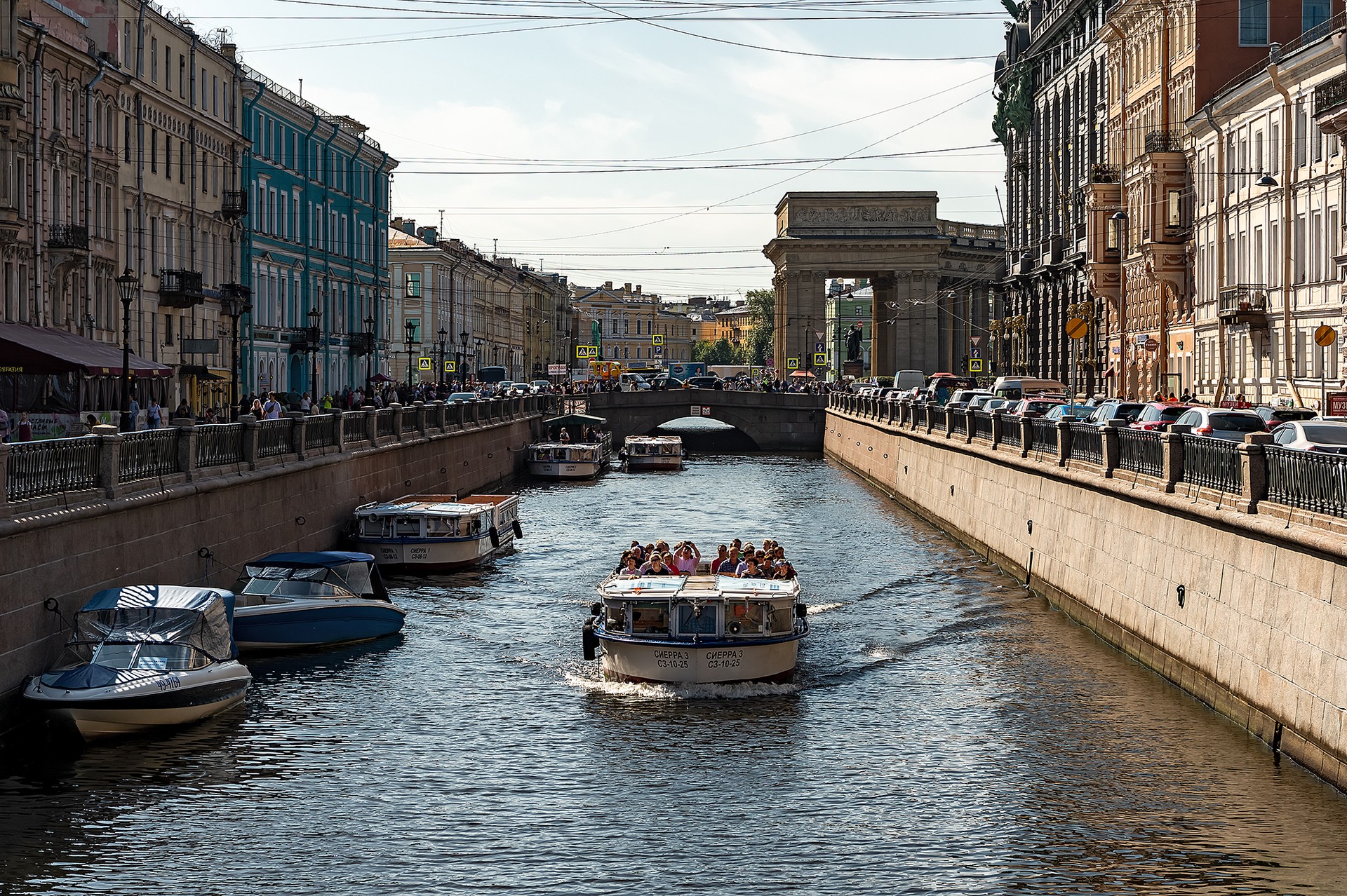 Семейство кабанов устроило утренний забег в Санкт-Петербурге