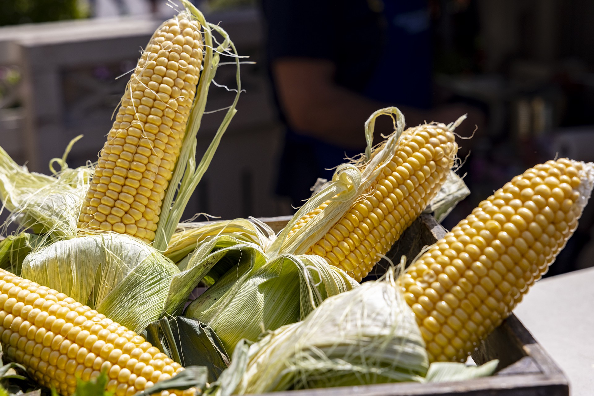 Овощи-мутанты из Чернобыля могли попасть на столы россиян