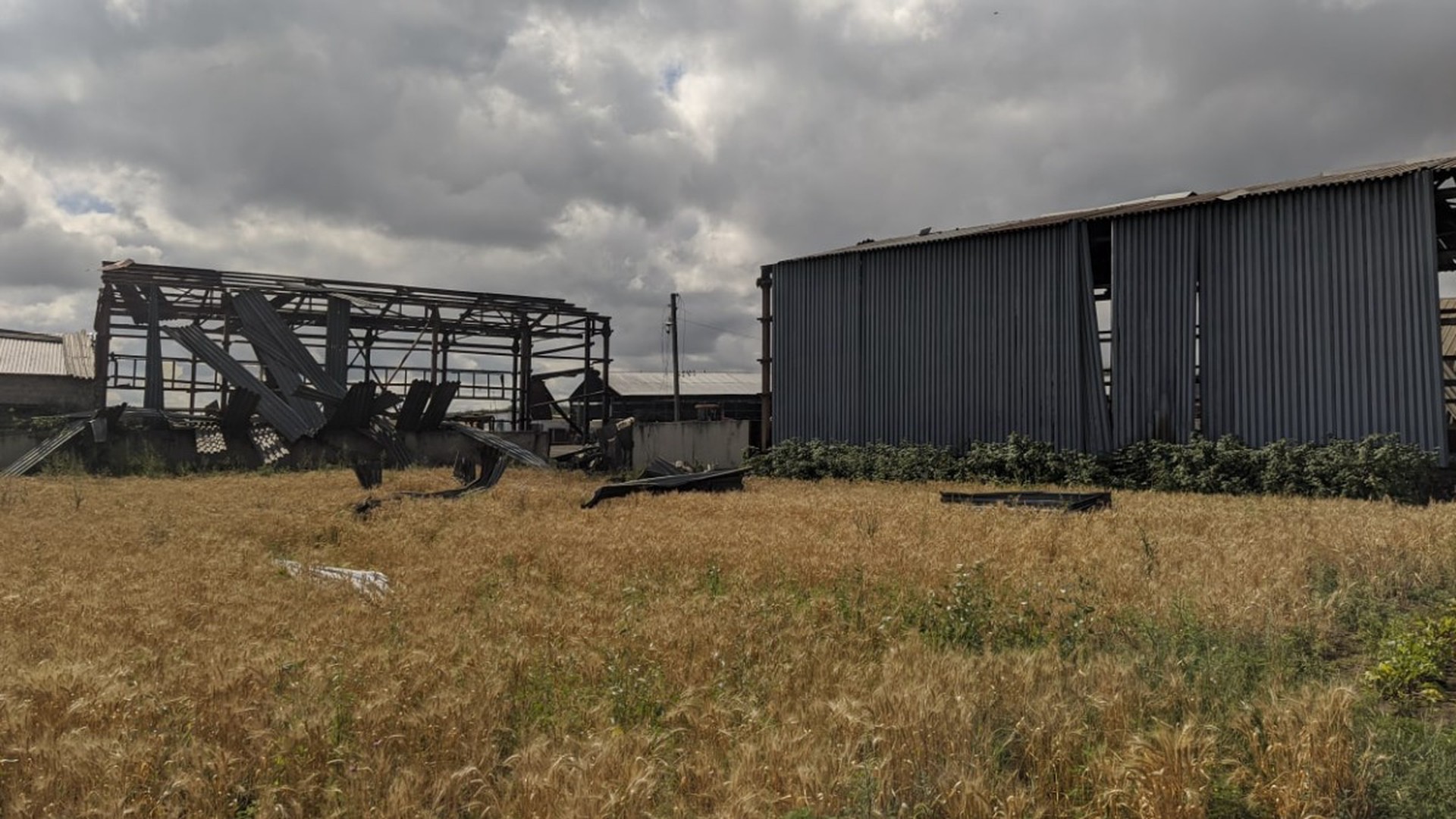 ВСУ ударом по зернохранилищу в Запорожской области уничтожили десятки тонн зерна