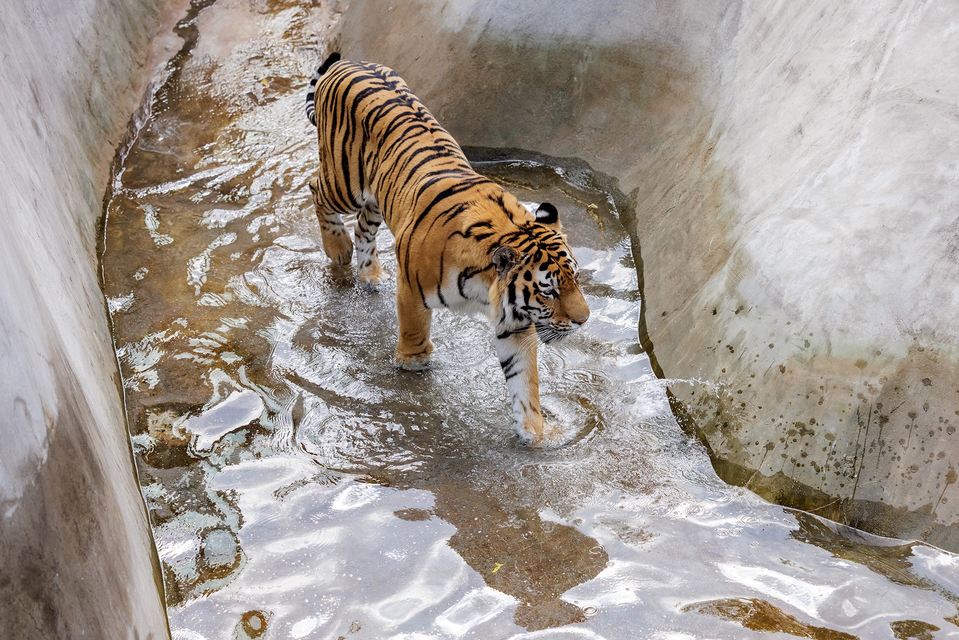 Главное к утру 13 ноября: Киев сорвал договоренности обмена пленных, Макрон обвинил Россию в нашестии клопов, самозанятые смогут получать больничные