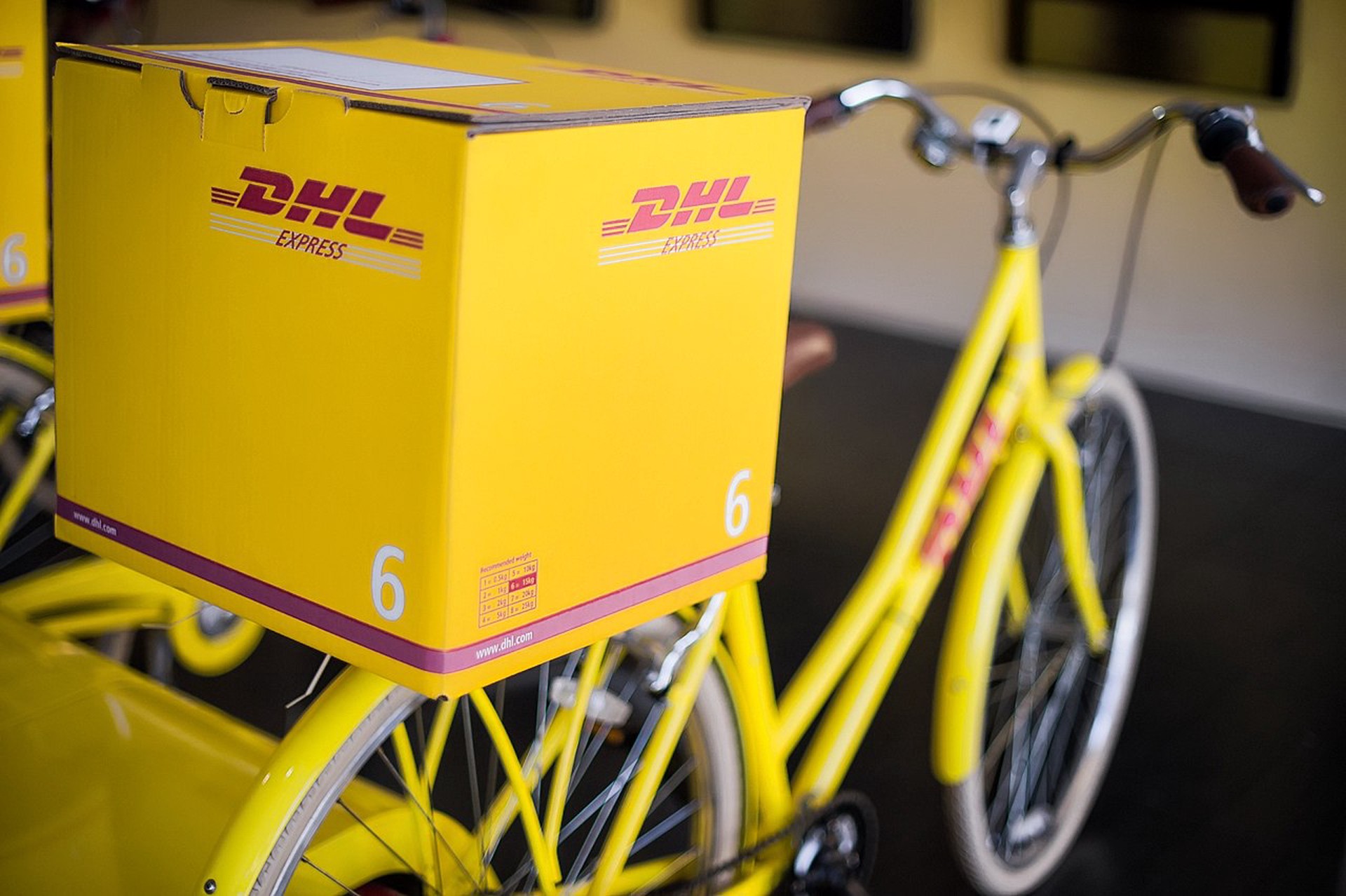 Компания DHL объявила о прекращении доставки грузов по России