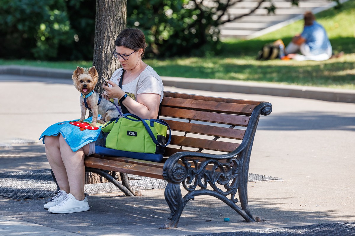 В Госдуме назвали необходимостью регистрацию домашних питомцев в России