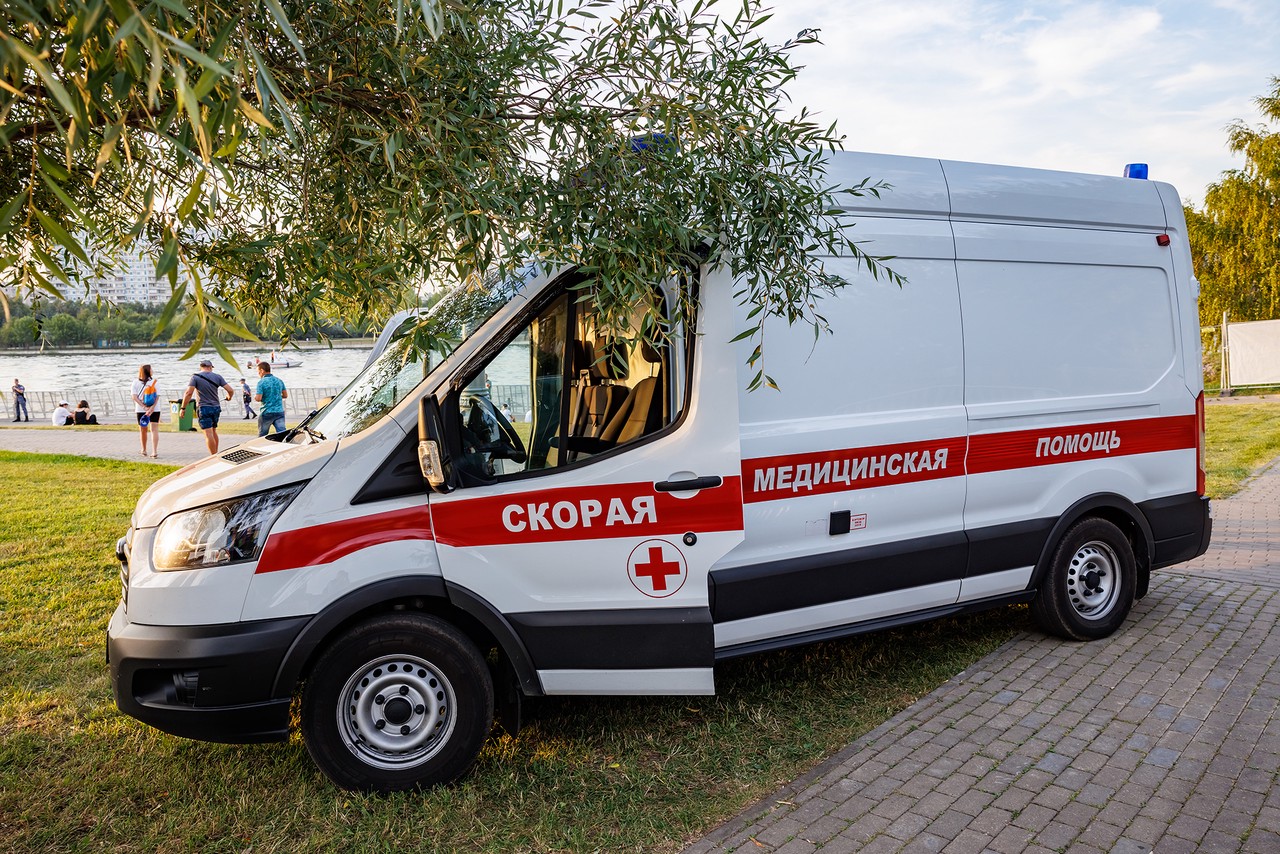 В Санкт-Петербурге собака покусала лицо мальчику на детской площадке