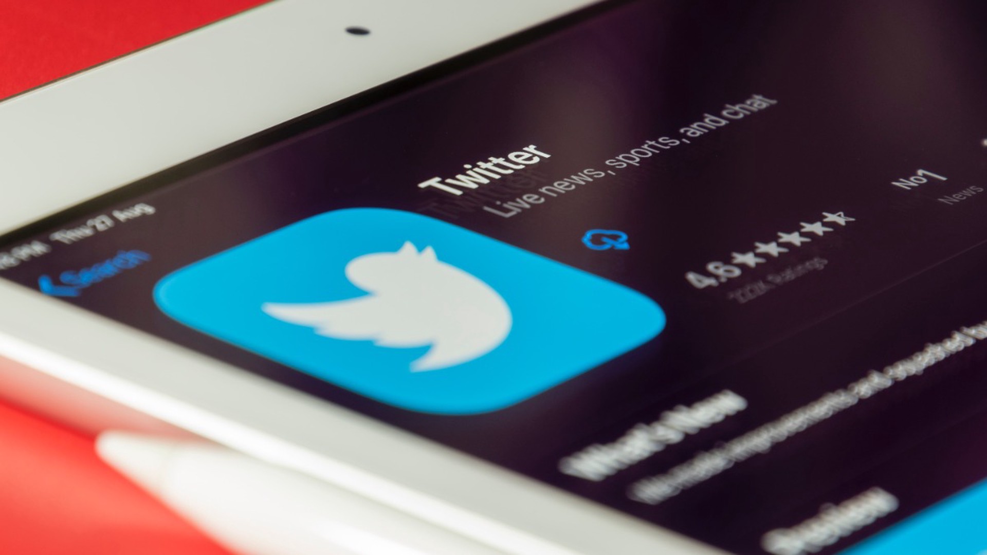 Прощай, птичка: Илон Маск меняет логотип Твиттера