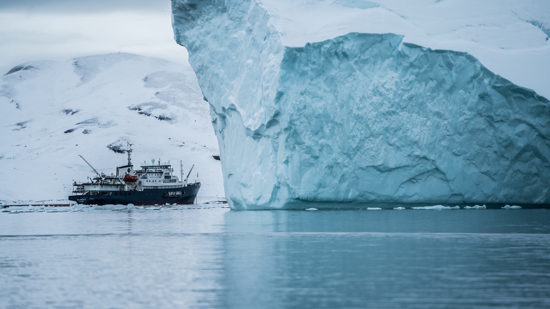 Зоолог Стейнер: США должны отозвать претензии на расширение шельфа в Арктике