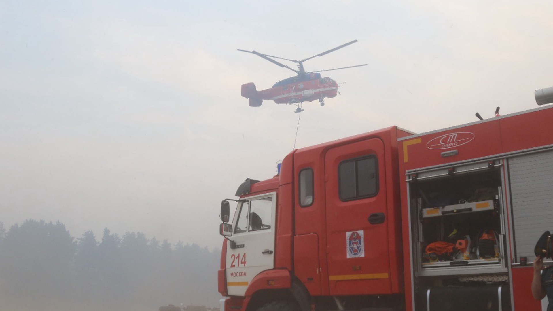 В Ростовской области ликвидирован лесной пожар на площади 123,5 га