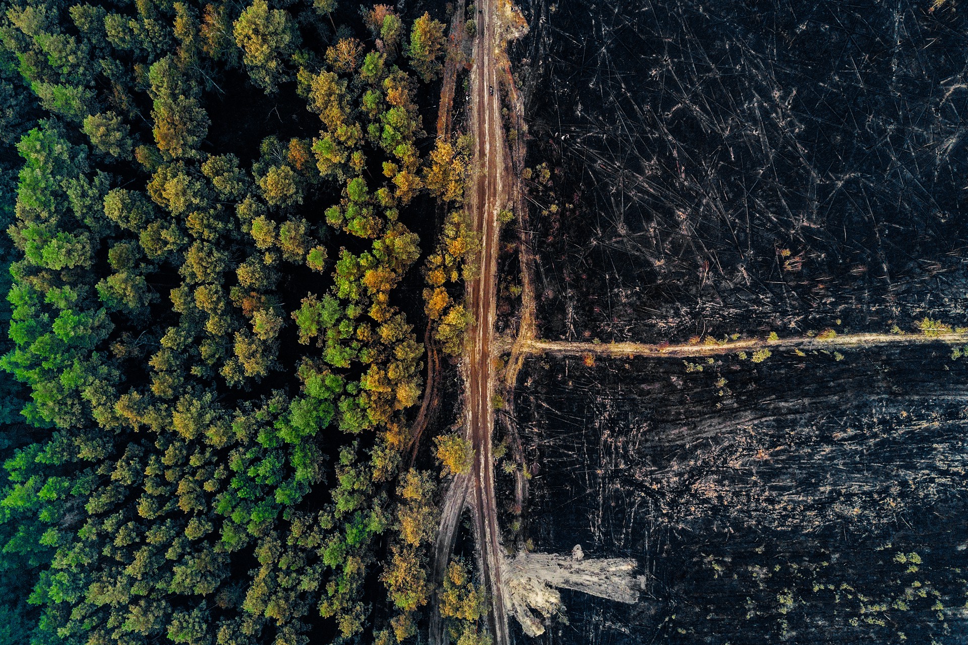 Из города на западе Канады из-за лесного пожара эвакуируют шесть тысяч человек