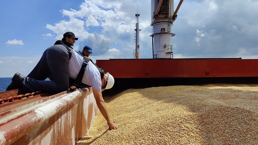 На Украине сообщили о прибытии первого судна с зерном в Эфиопию