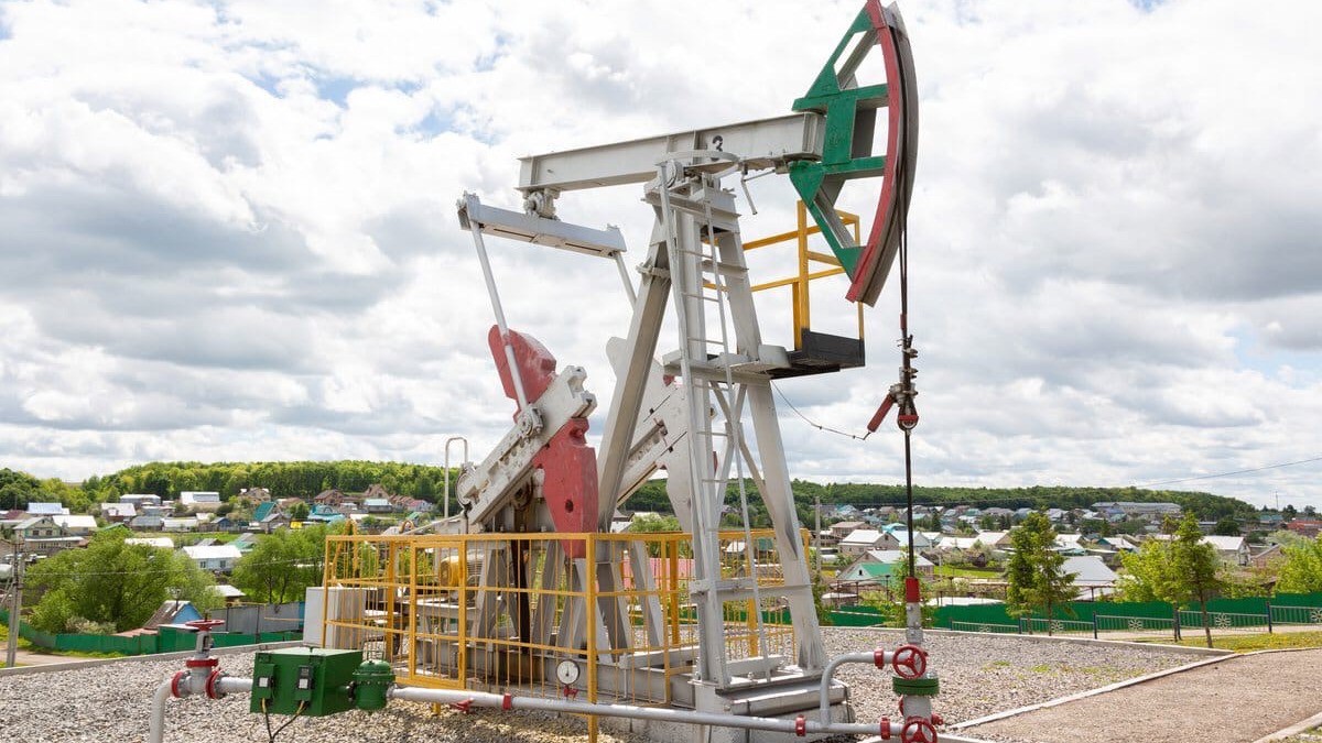 Депутат Госдумы Гаврилов предложил обменивать нефть на цветы