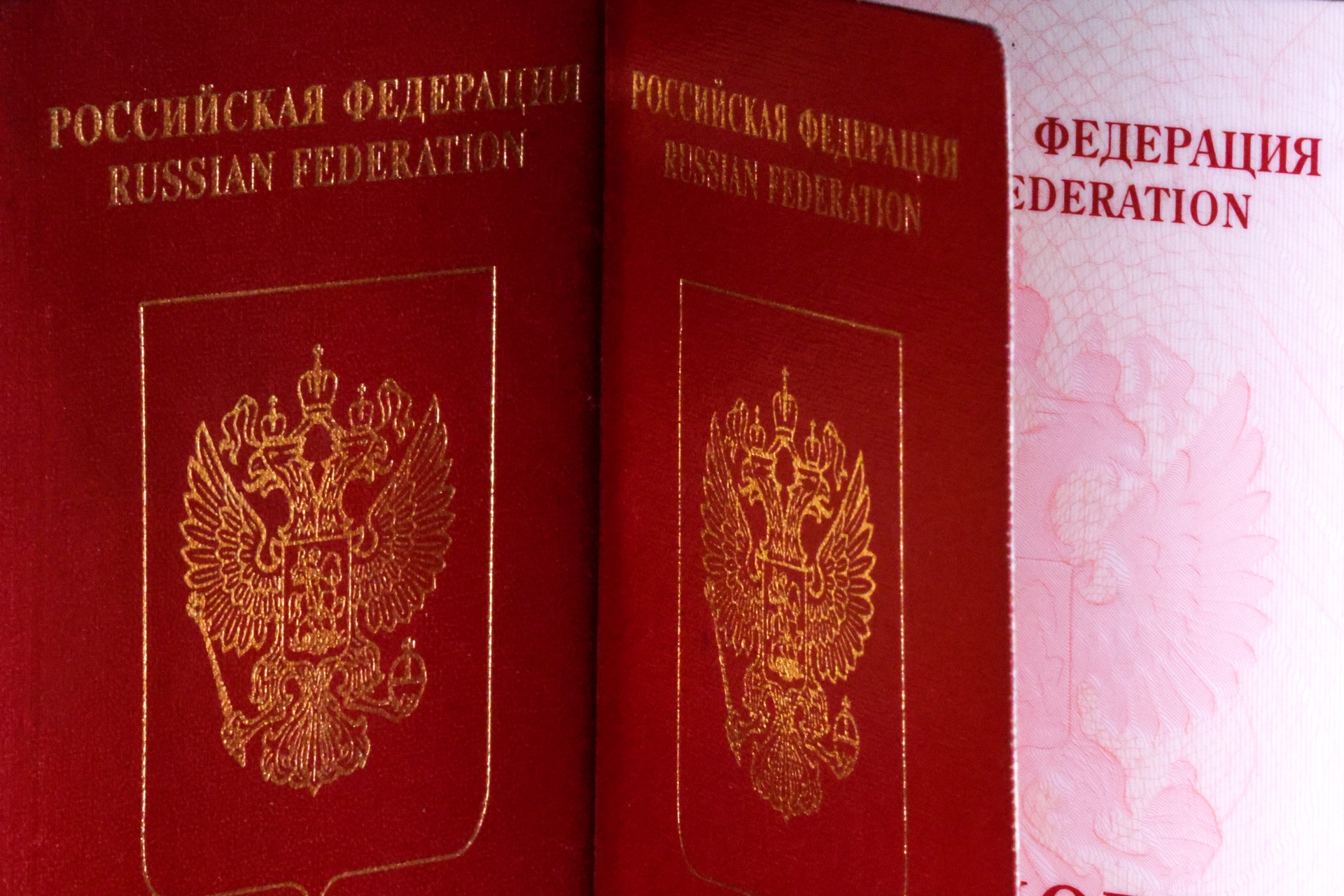 С 1 июня в России возобновляется приём заявлений о выдаче биометрических загранпаспортов