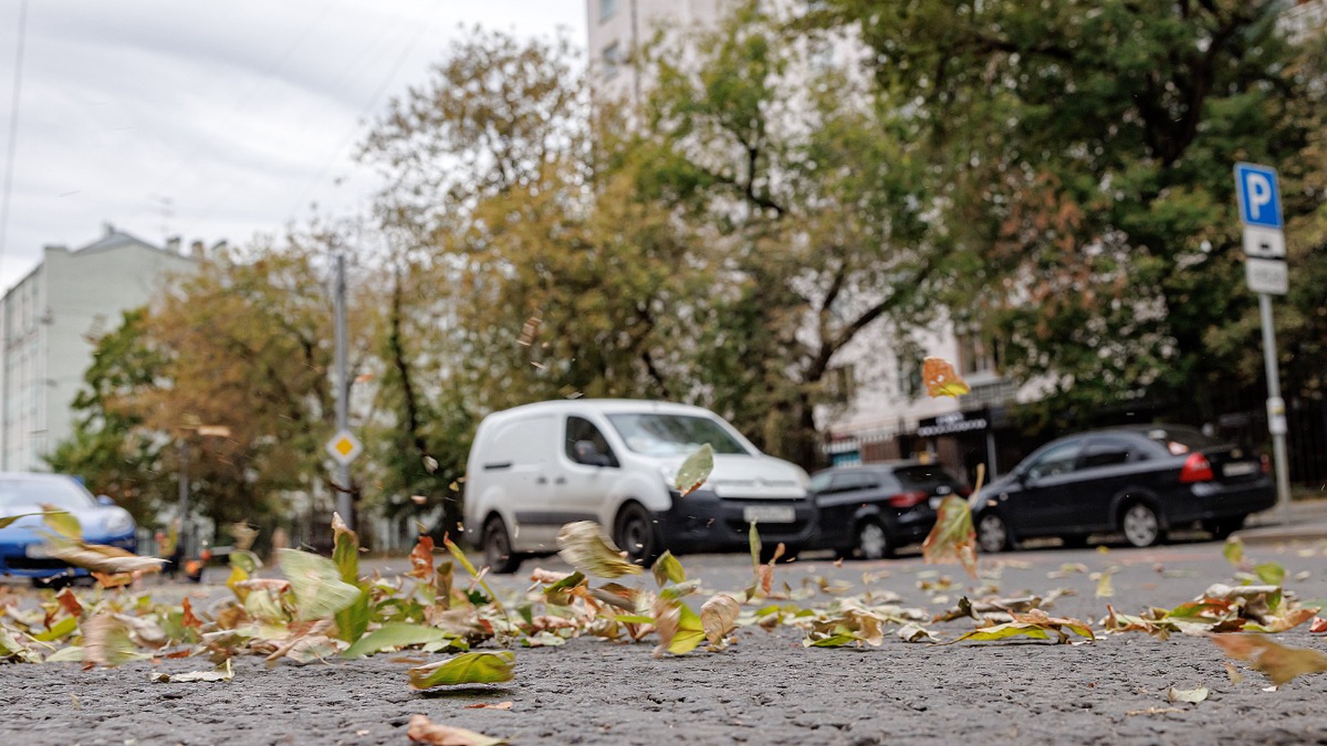 Синоптик Шувалов: первые 10 дней ноября в Москве будут тёплыми и бесснежными