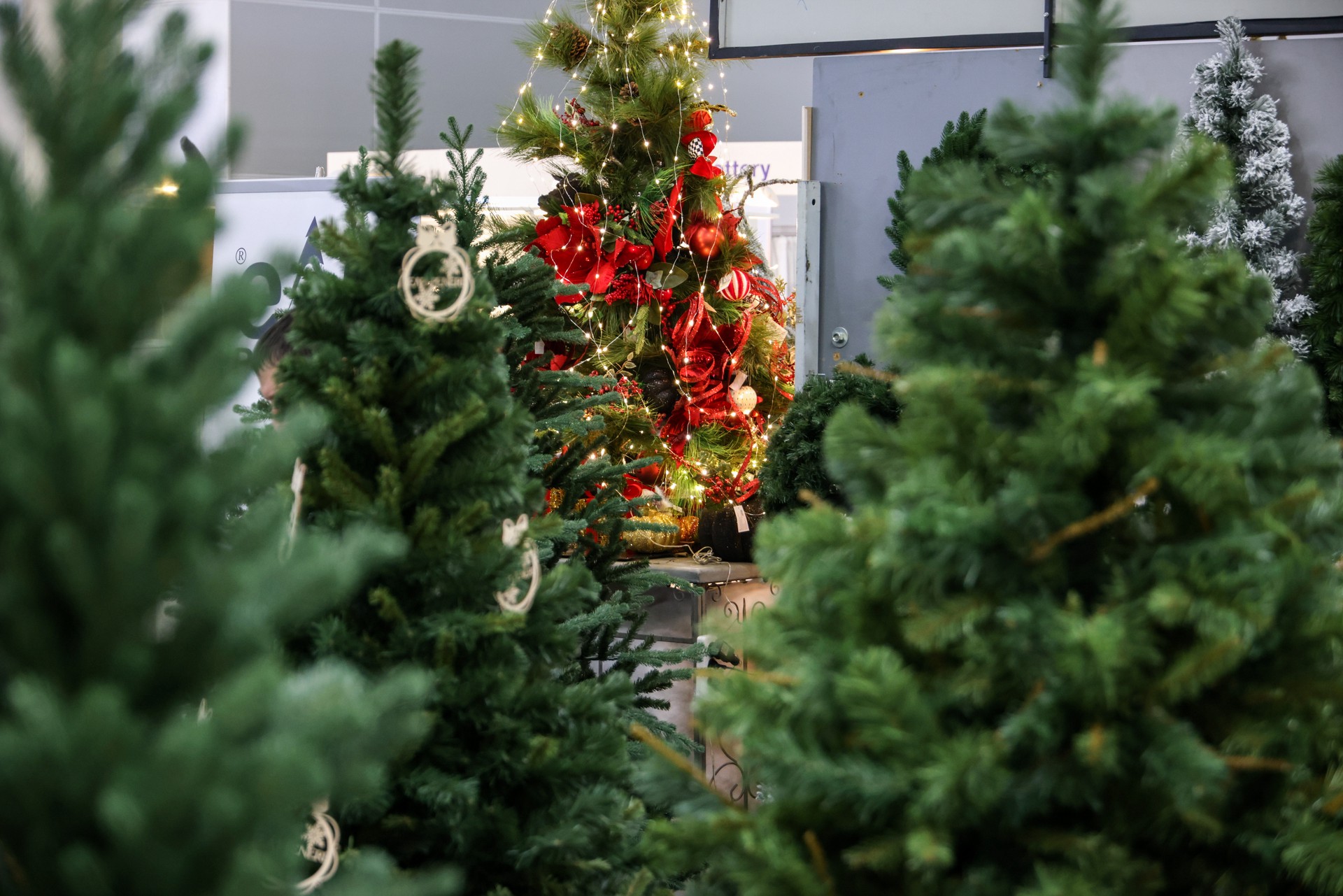 Россиянам дали совет, как выбрать качественную искусственную елку