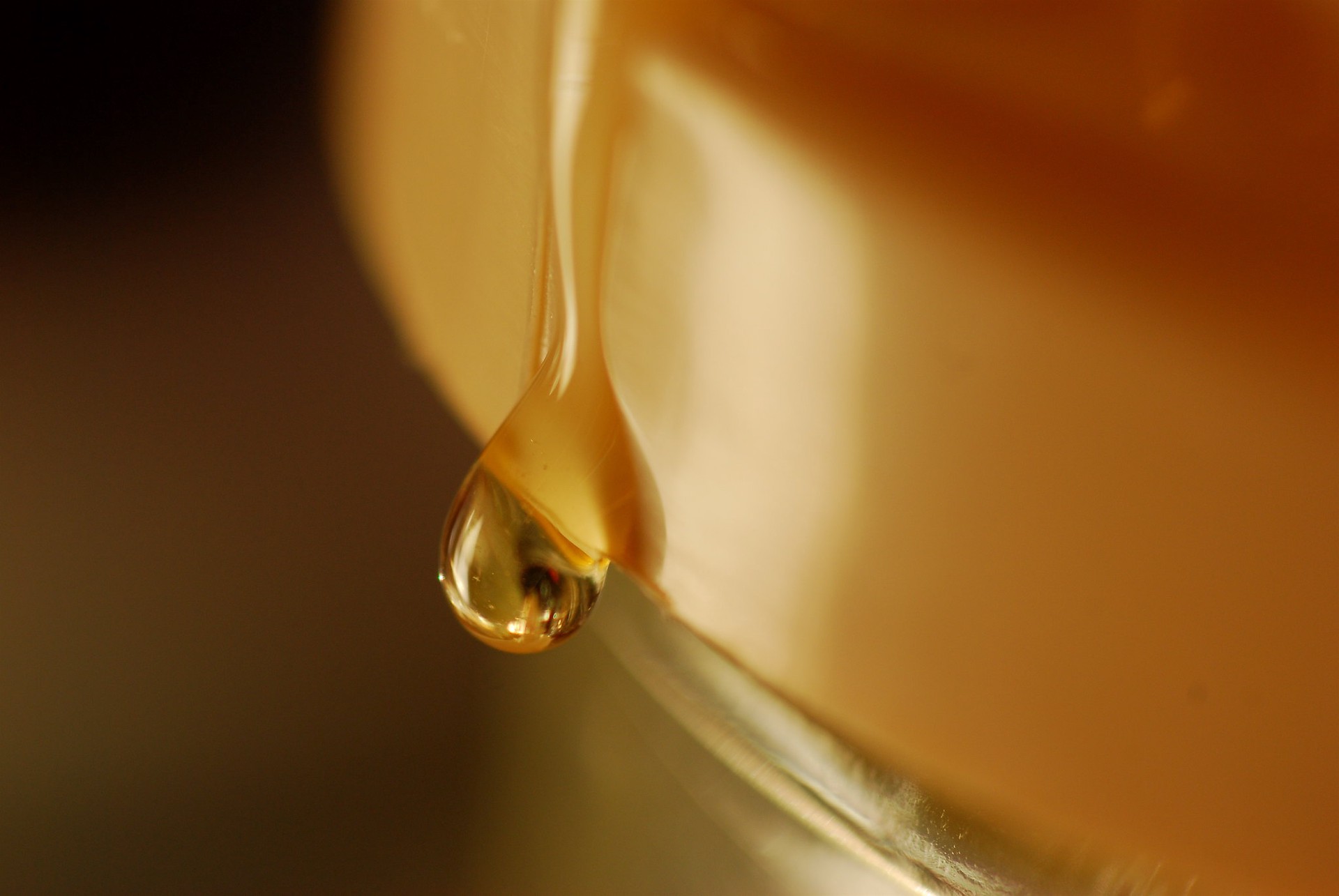 Как распознать растопленный мёд: эксперт рассказала об уловках продавцов