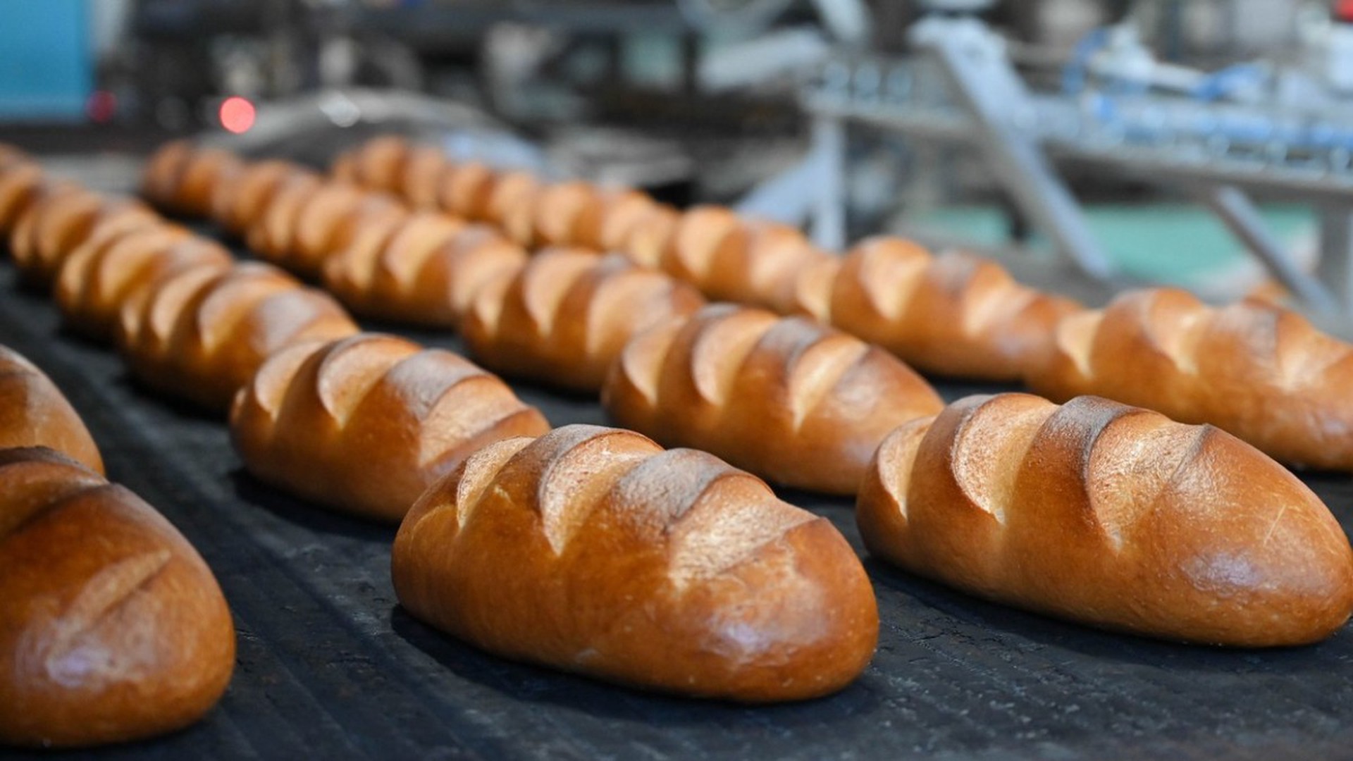 Привет от Набиуллиной: как высокая ключевая ставка привела к подорожанию хлеба в России