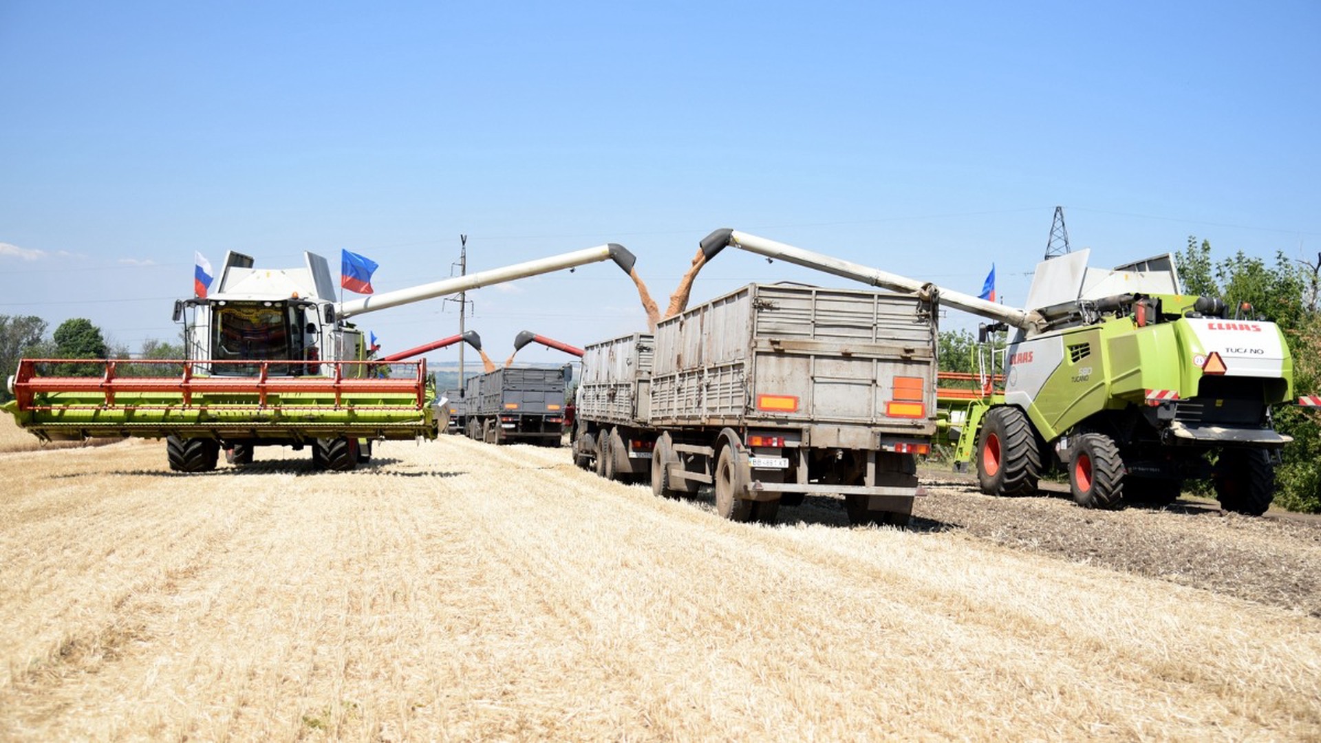 СМИ: Турция и ООН работают над возобновлением зерновой сделки в прежнем формате