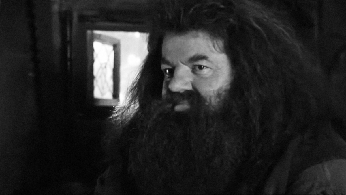 Исполнитель роли Хагрида в фильмах о Гарри Поттере Робби Колтрейн умер на 73-м году жизни