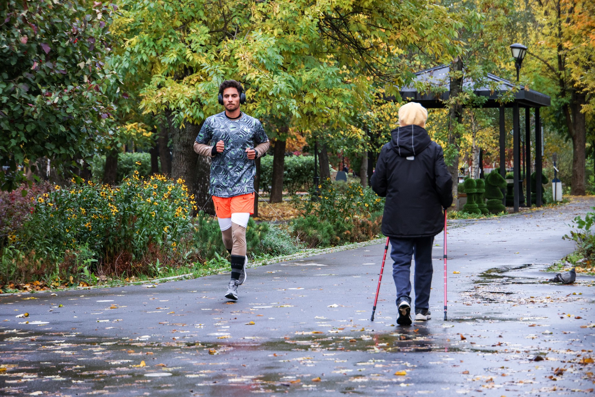 Раскрыто главное условие получения пользы от ходьбы