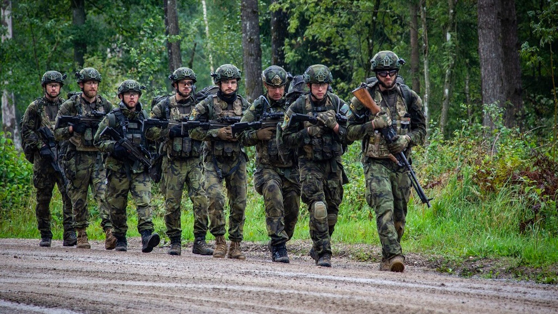 В Чехии заявили, что никто в Европе не собирается направлять войска на Украину 