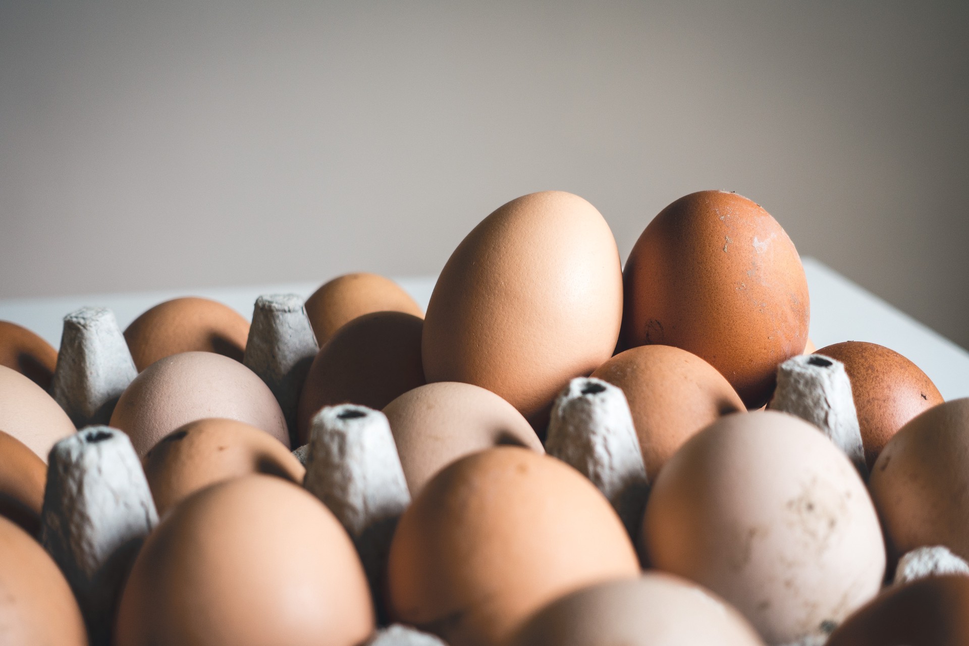 Правительство поддержало обнуление импортных пошлин на яйца