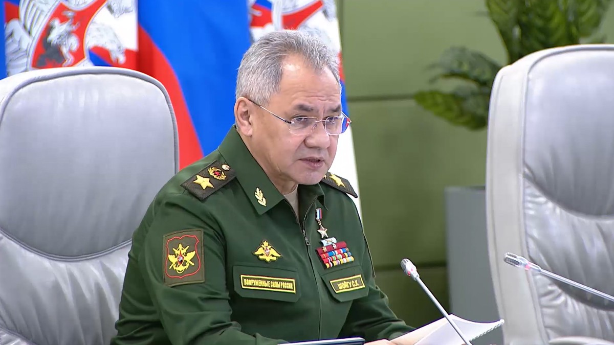 Шойгу заявил, что российские войска эффективно снижают военный потенциал Украины