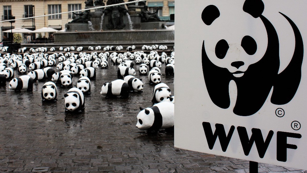 WWF* внесли в перечень нежелательных организаций