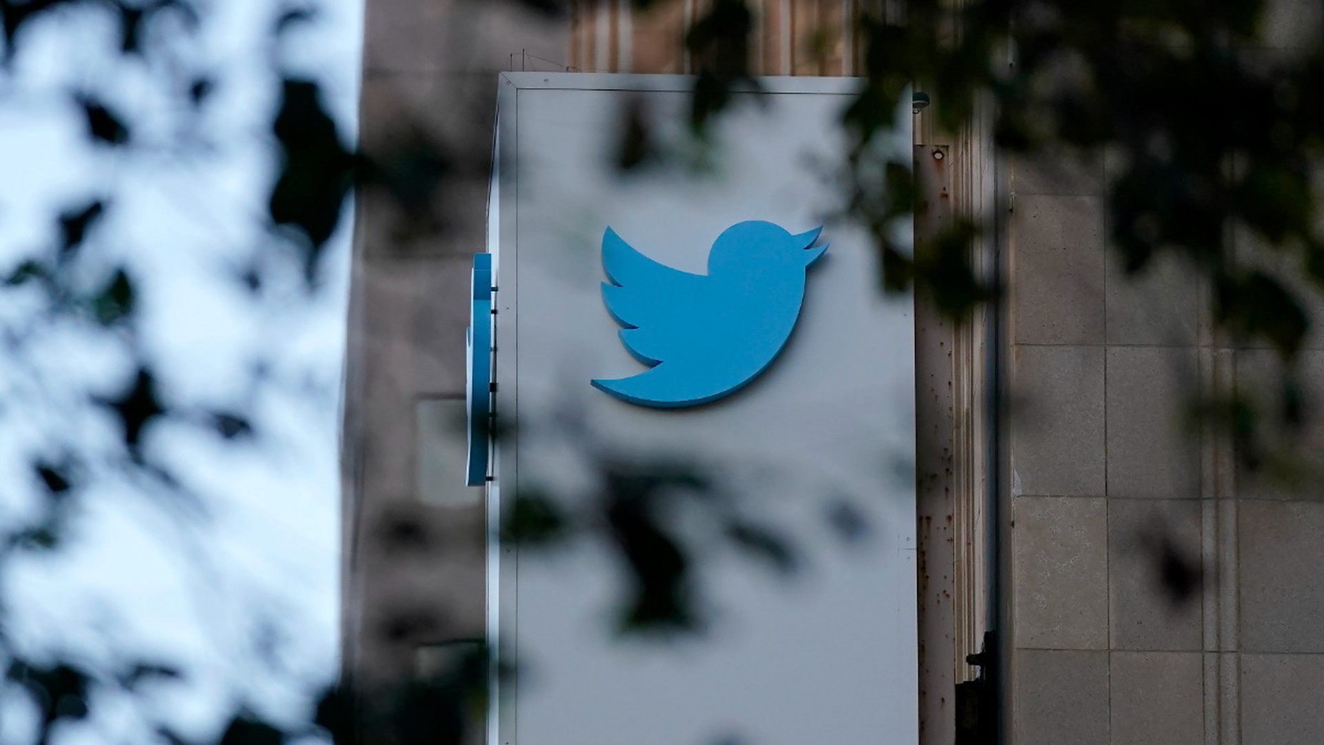 За неделю руководства Маска прирост пользователей Twitter показал рекордный уровень