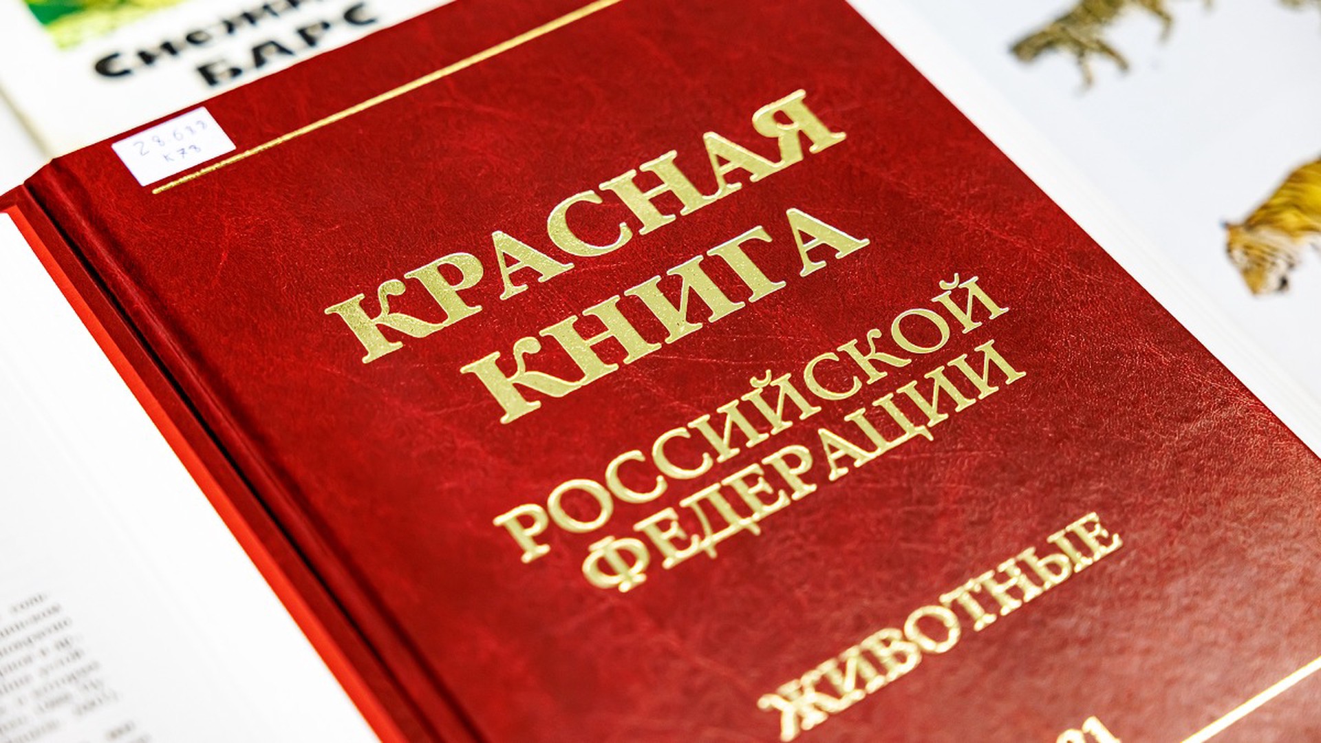 Россиянам напомнили о наказании за гибель краснокнижных животных на даче