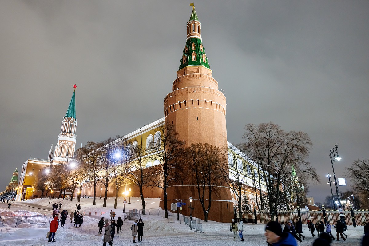 Определена главная новогодняя ель России